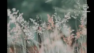 Ikson - Last Summer [Future Bass]