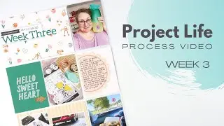 Project Life Process Video // Week 3, 2023 // Citrus Twist Kits