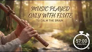 Relaxing Native Flute Music for Stress Relief & Deep Sleep (No Background Noise)