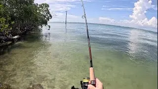 Stingrays, snapper + storms!!! Summertime beach fishing on Sanibel Island, Florida