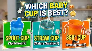 Best Baby Sipper Bottles in India 2025 | Sippy, Spout, Straw, 360°, & Open Cups