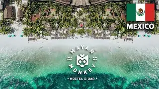 $15 Hotel in Tulum Mexico (Mayan Monkey Hostel)