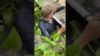 Hand fishing
