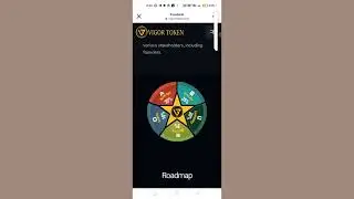 what is Vigor Token وی ٹی ٹوکن کیا ہے