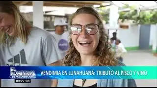 Vendimia en Lunahuaná: tributo y celebración por cosecha de uvas para pisco y vino