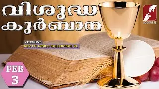 HOLY MASS LIVE @ 6 AM, 03-FEB-2026|FR JAMES KALLUMKAL VC|MALAYALAM QURBANA|TODAY MASS|GOODNESS TV