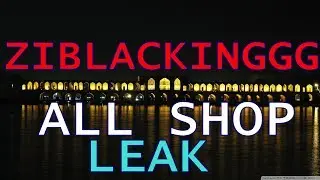 ZIBLACKING ALL SHOP LEAK (250&euro;) | REGEDIT