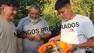BAMOS DONDE DON BETO ACOMER PESCADO Y MANGO 