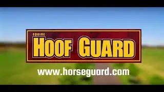 Equine Hoof Guard