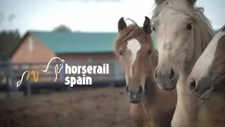 Como instalar Horserail