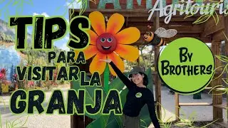 Tips para disfrutar de tu paseo. Algunas recomendaciones para visitar la granja By Brothers.