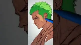 Drawing Zoro-One Piece in Procreate