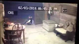 Barn security cameras catch all the action! LOL!