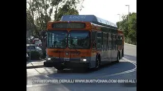 NEW FLYER C40LF BUS VIDEO COMPILATION