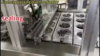 Linear Ice Cup 1-out-4 Filling & Sealing Machine