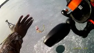 Buffalo Perch Killer make's his Lindy Perch Talker Talk