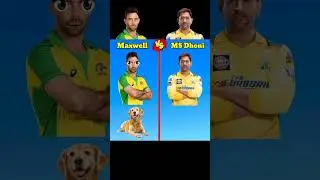 MS Dhoni vs Maxwell #msdhoni #maxwell #cricket #ipl #viral #shorts