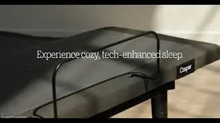 Lifestyle Adjustable Base