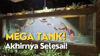 BUAT MEGA TANK DI HALAMAN RUMAH