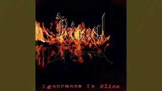 Ignorance Is Bliss