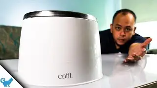 Catit Stainless Steel Water Fountain Review [Is it Worth It?]