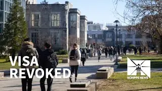 International students ordered to leave US wonder: Why me?