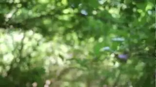 Pouring Sun - An Introduction to Thoughts Detecting Machines