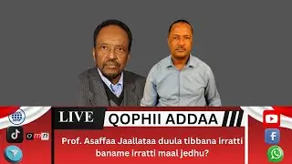 OMN: Prof. Asaffaa Jaalataa_Duulli maaliif irratti baname?