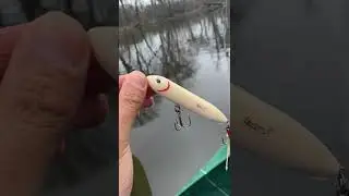 Day 2 Fishing for Northern Pike in Massachusetts (on a Kayak)