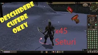 Metin2 RO - Phoenix - Antipaticu - x45 Seturi Okey