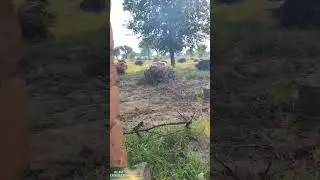 khet ki chai