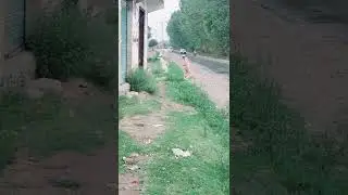 Rain start at Lower dir | Baran pa Jandool ke | 🌧 Rainy weather