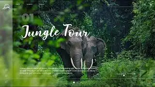 Glassmorphism Travel Web UI - Promo Video 🍃⛵