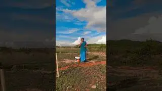 EDEL BAHA#trending #dancemoves #youtubeshorts 🥰❤️🥰#shortvideo