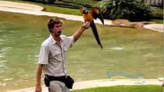 Australia Zoo, Sunshine Coast, Australia | Experience Oz