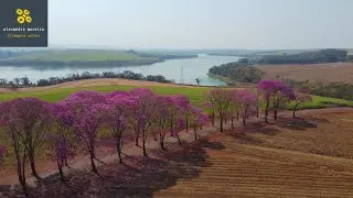 IGARAÇÚ DO TIETÊ SP  ESTRADA DOS IPÊS