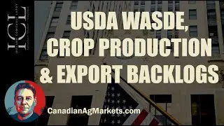 Министерство сельского хозяйства США (WASDE), задержка в отчетности по производству и экспорту се...