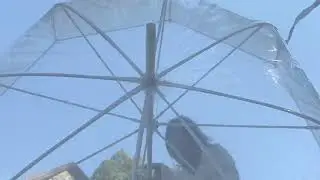Von Lilienfeld - Regenschirm, Glockenschirm - transparent 
