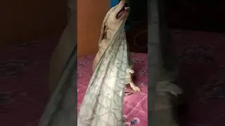 Rosy&rsquo;s Spooky-Cute Halloween Act! 👻🐶 | Funny Ghost Dog Costume&rdquo; #youtubeshorts #halloween