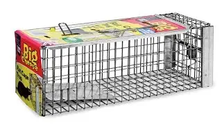 Rat Cage Trap - Humane Rat Trap from The Big Cheese