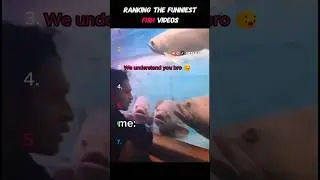 Ranking some funny fish moments #fishlover #funnyfish #fish