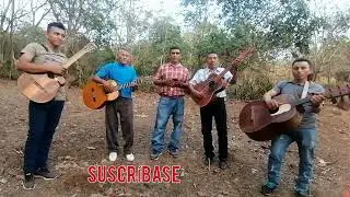 VOLAR CANTANDO,alabanza bien alegre,casi abla el requinto.