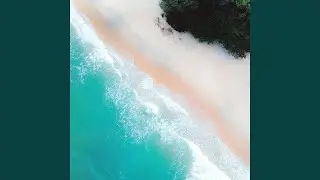Blue Eden