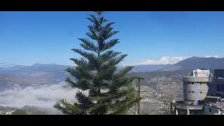 Snow Covered Himalaya