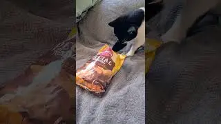Blake likes rye garlic chips 😱
