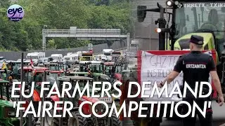 'Neglected for 20 years!' French, Spanish farmers block highway to demand policy support