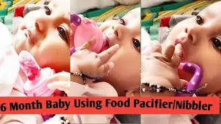 Fisher Price Baby Fruit /Vegetable Pacifier/Feeder 6 Month Baby Drink Pomegranate अनार