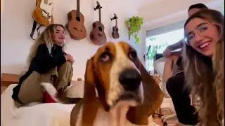 AnaVitória e Lagum - universo de coisas que eu desconheço