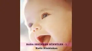 Ninnanna Ninnisi