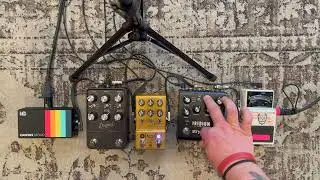 universal audio dream vs walrus acs1 vs strymon iridium - fender amp comparison